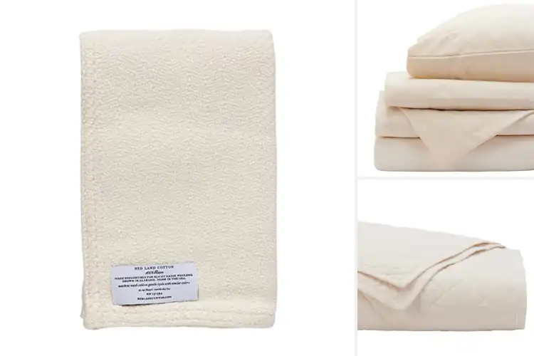 Detailed view of Best Cotton From American Farms