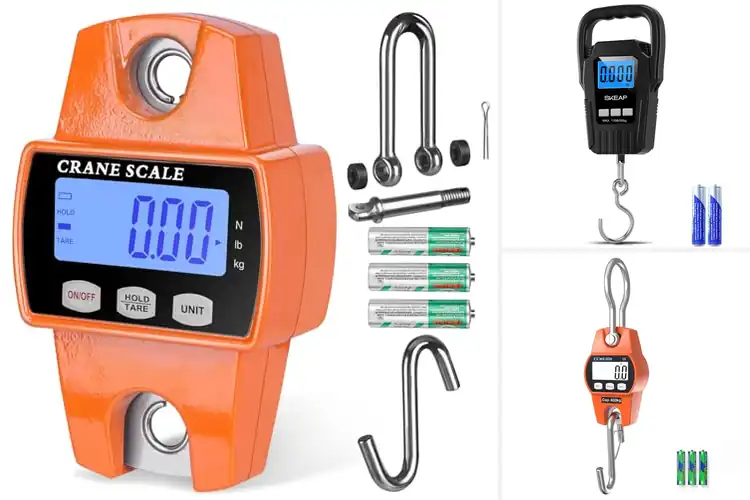 Detailed view of Best Digital Hanging Scales: Top 10 Picks