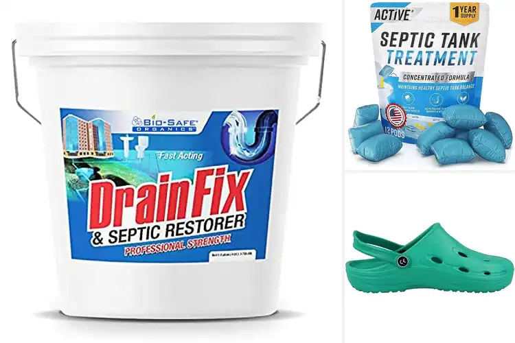 Detailed view of Best Ecofriendly Clogs