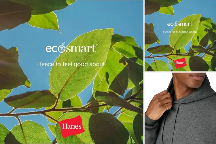 Detailed view of Best Hanes Hoodies EcoSmart: Unmatched Comfort & Style